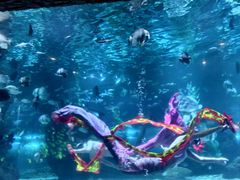 -南昌海洋公园