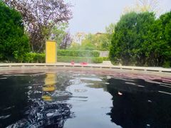 -大连金石滩绿发温泉假日酒店