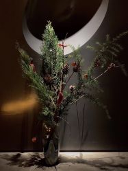 -美壹生诊所皮肤管理中心·海菲秀&Legacy美白舱