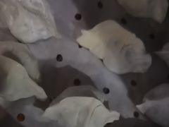 -三个渔夫·蒸汽海鲜(小白楼店)