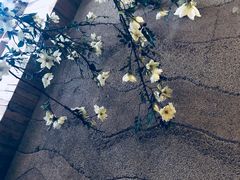 -山有花啡餐厅(常营总店)