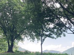 -顺峰山公园