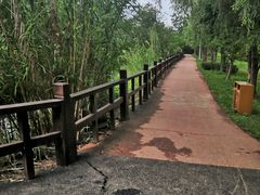 -白鹭湾湿地公园