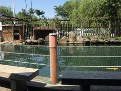 -湖鲜楼