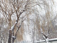 -盛世南宫影视城(北普陀影视城)