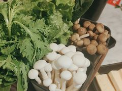 -新辣道鱼火锅(领展购物广场·中关村店)