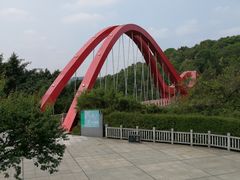 -玉树公园