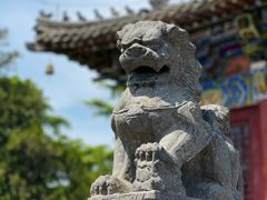 -洛阳白马寺