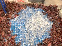 -半岛听涛蒸汽海鲜自助(K11店)