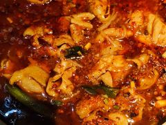 -红辣椒·川菜·火锅(张杨路店)