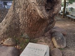 -清漾毛氏文化村