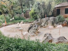 -昆明动物园