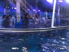 -迪拜水族馆及水下动物园