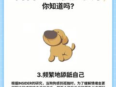 -美联众合动物医院·24h转诊中心