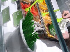 -Salud撒露欧洲冻酸奶(蓝色港湾店)