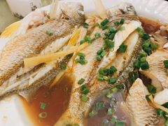 -霞海鸭仔饭店(海滨大道北店)