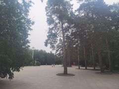 -黑龙江省森林植物园