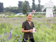 -北京东方普罗旺斯薰衣草庄园