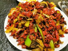 -福苗小骆驼烧烤(大唐不夜城店)