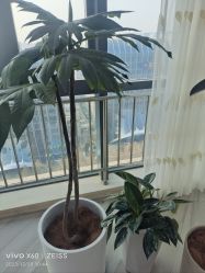 -HEYAN荷妍专业脱毛连锁机构