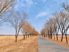 -野鸭湖国家湿地公园