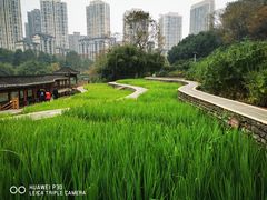 -龙头寺公园