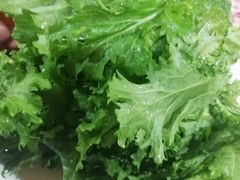 -银同牦牛肉火锅