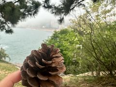 -青岛海景花园大酒店