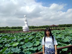 -荷塘月色湿地公园·向阳花洲