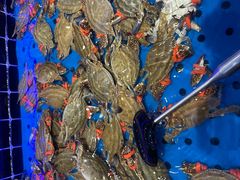 -川骄海鲜自助(河东店)