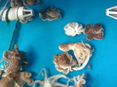 -农家乐大锅台铁锅炖(四流中路店)