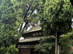 -报恩寺(平武县)