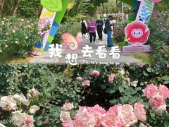 -人民公园(罗湖区)