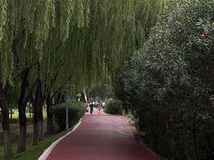 -滨湖塘西河公园
