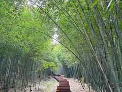 -南京市无想山景区