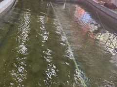 -光头佬室内钓虾场·烧烤·团建·亲子(中山八路店)