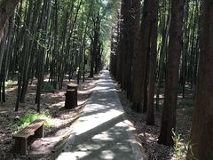 -同里国家湿地公园