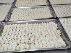 -上海市奉贤区奉城镇敬老院(洪天奉城分院)