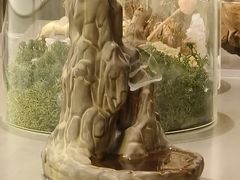 -诗宇时光茶艺书法古琴培训