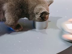 -极木²邸 人与宠物·互动社区