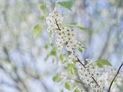 -莲花山公园