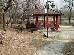 -东郊湿地公园