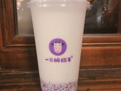 -一只酸奶牛(八一路店)