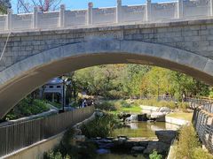 -白水寺森林公园