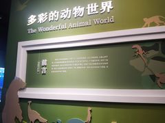 -国家自然博物馆