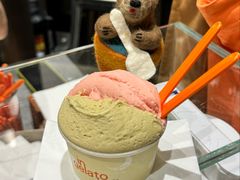 开心果Pistachio-DIP in GELATO(富民路店)