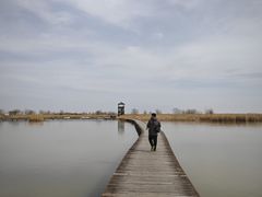 -盐城丹顶鹤湿地生态旅游区