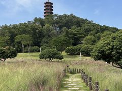 -红花山公园