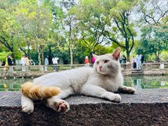 -西园戒幢律寺