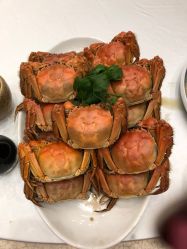 -中江广场皇冠假日酒店·宴会厅